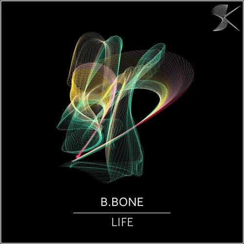 B Bone