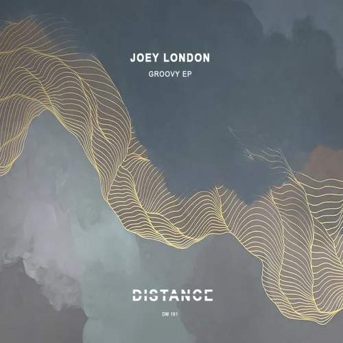 Joey Lowso