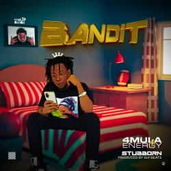 4MULA ENERGY - BANDIT