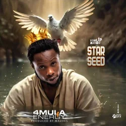 4mula - Star Seed