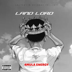4mula Energy - Land Lord