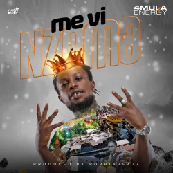 4mula Energy - Me Vi Nzema