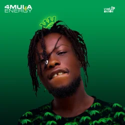 4mula Energy - Nzema Nyamenle Ne Y3 Lua