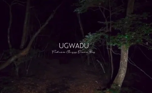 AT - UGWADU