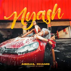 Abigail Chams - Nyash (feat. S2Kizzy & DJ Joozey)