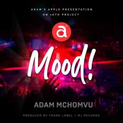 Adam Mchomvu - Mood (feat. Dibo)