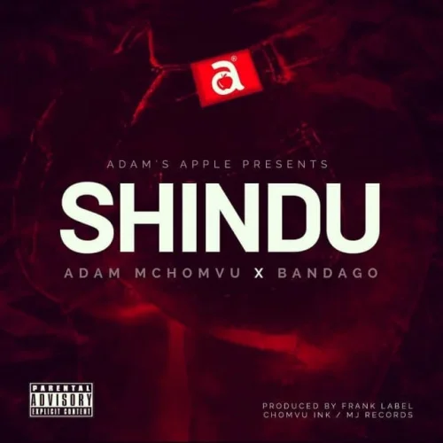 Adam Mchomvu - Shindu (feat. Bandago)
