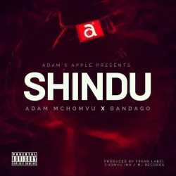 Adam Mchomvu - Shindu (feat. Bandago)