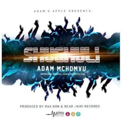 Adam Mchomvu - Shughuli