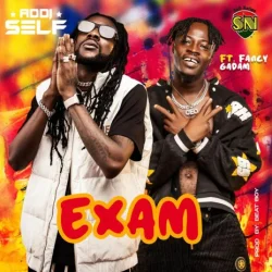 Addi Self - Exam (feat. Fancy Gadam)