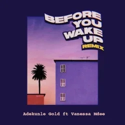 Adekunle Gold - Before You Wake Up Remix (feat. Vanessa Mdee)