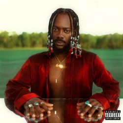 Adekunle Gold - Firewood (feat. Tekno)