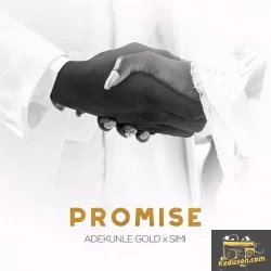 Adekunle Gold - Promise