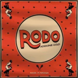Adekunle Gold - Rodo