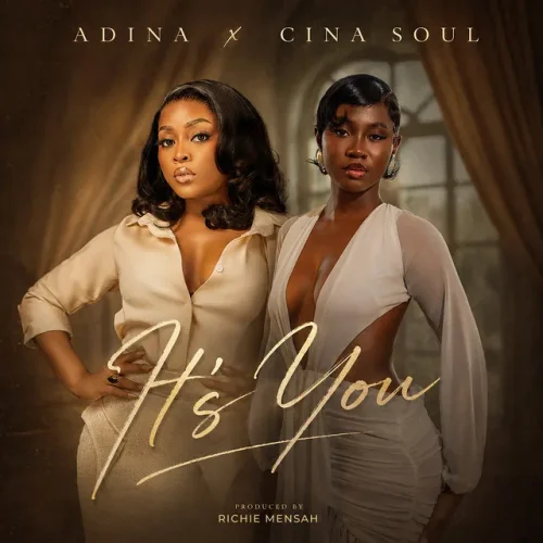 Adina Thembi - It's You (feat. Cina Soul)
