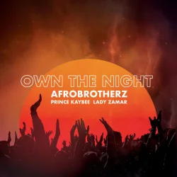 Afro Brotherz - Own The Night (Edit) (feat. Lady Zamar & Prince Kaybee)
