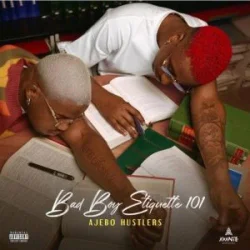 Ajebo Hustlers - No Love (18 Plus)