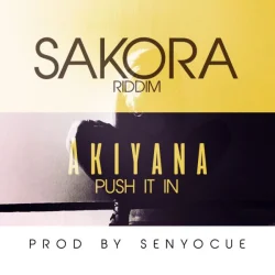 Akiyana - Push It In (Sakora Riddim)