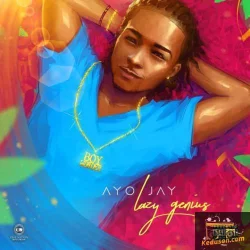 Akon - No Feelings