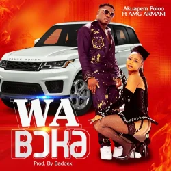 Akuapem Poloo - Wa Boka (feat. Amg Armani)