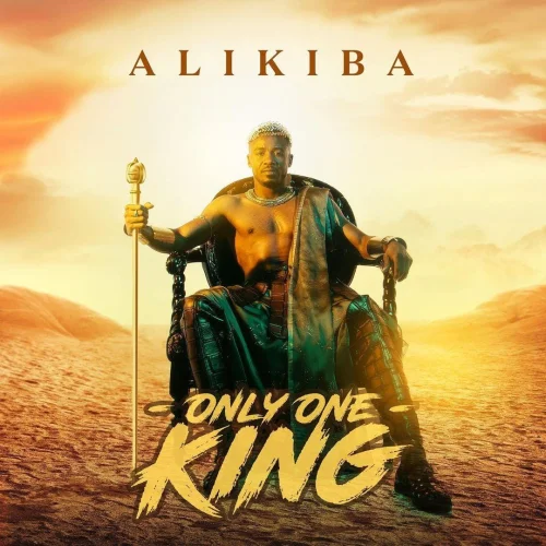 Alikiba - Washa (feat. Nyashinksi)