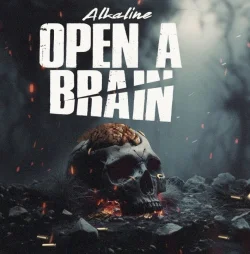 Alkaline - Open A Brain