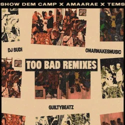 Amaarae - Too Bad No Nazar Remix (feat. Tems, DJ Sudi & OmarMakesMusic)