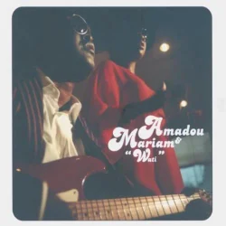 Amadou & Mariam - Fana