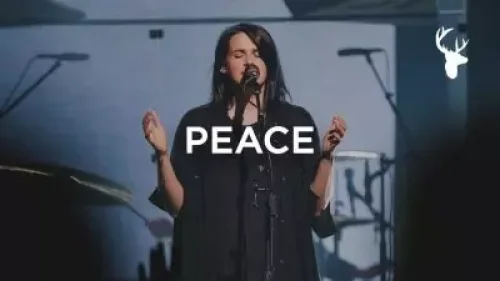 Amanda Cook - P E A C E