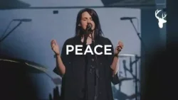Amanda Cook - P E A C E