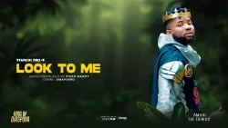 Ambri The Genius - Look To Me