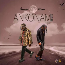 Amerado - Ankonam (Remix) (feat. Samini)