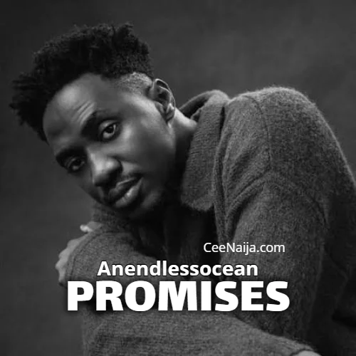 Anendlessocean - PROMISES