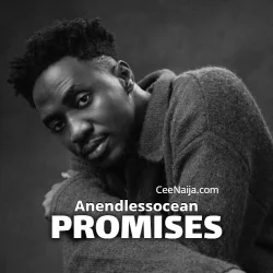 Anendlessocean - PROMISES