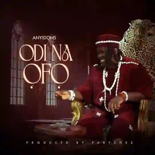 Anyidons - Odi Na Ofo