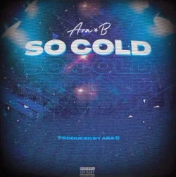 Ara B - So Cold