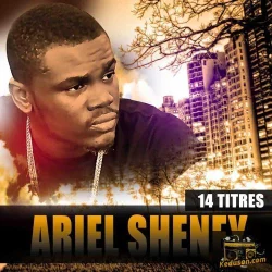 Ariel Sheney - Dis-moi master (2015)