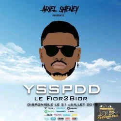 Ariel Sheney - YessiPaDeDans (YSSPDD)