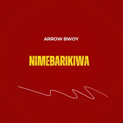 Arrow Bwoy - Nimebarikiwa