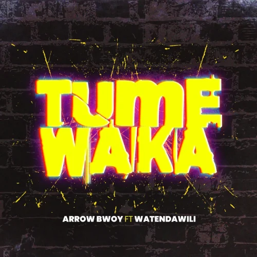 Arrow Bwoy - Tumewaka (feat. Watendawili)