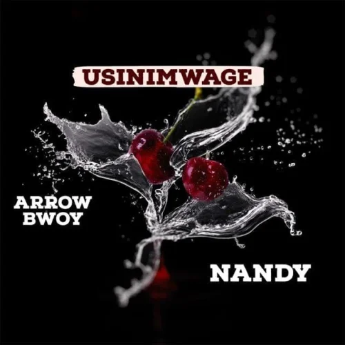 Arrow Bwoy & Nandy - Usinimwage (feat. Nandy)