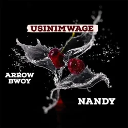 Arrow Bwoy & Nandy - Usinimwage (feat. Nandy)