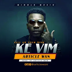 Article Wan - Ke Vim