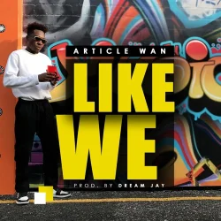 Article Wan - Like We