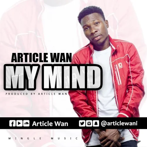 Article Wan - My Mind