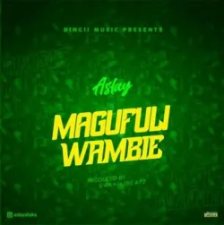 Aslay - Magufuli Wambie