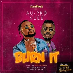 Au-Pro - Burn It