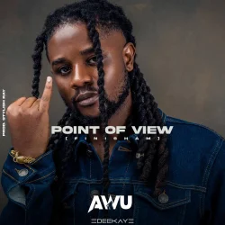 Awu - Point Of View