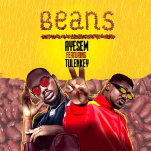 Ayesem - Beans (feat. Beans & Tulenkey)
