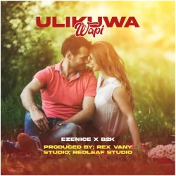 B2K - Ulikua Wapi (feat. Ezenice)